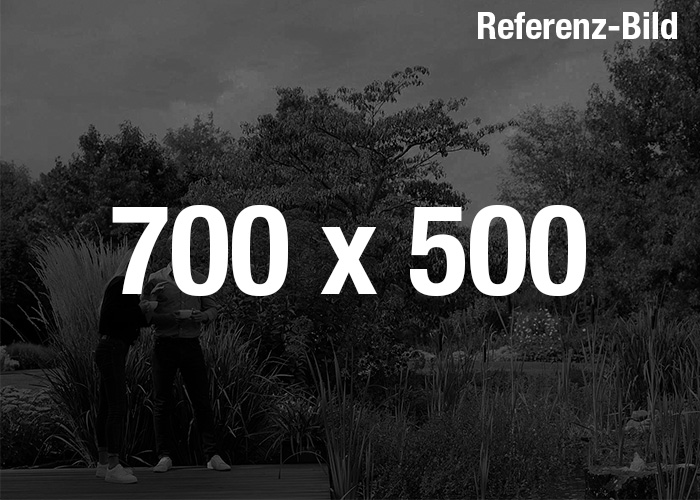 Referenz_Bild