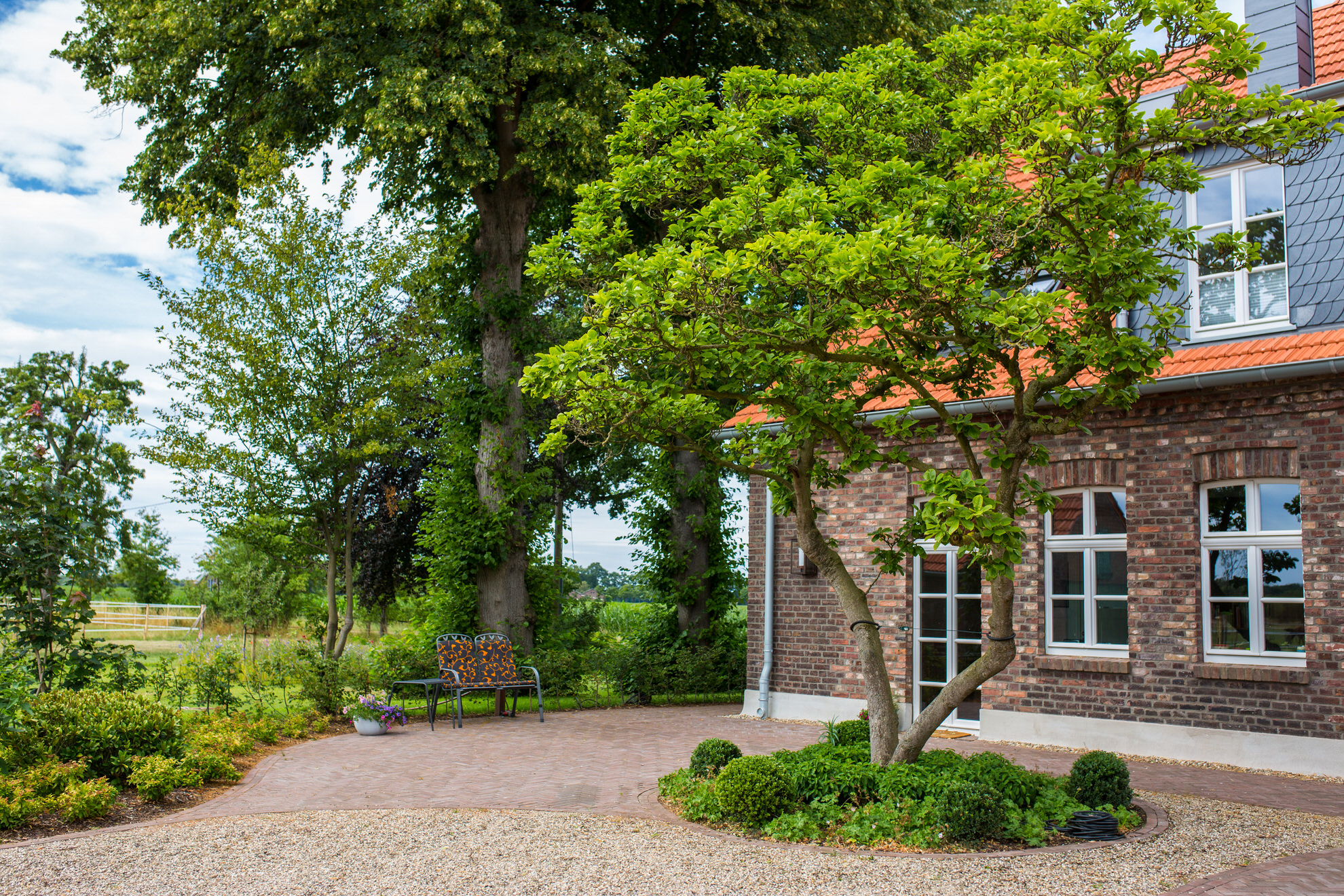 präsentierter Baum Brinks (2)