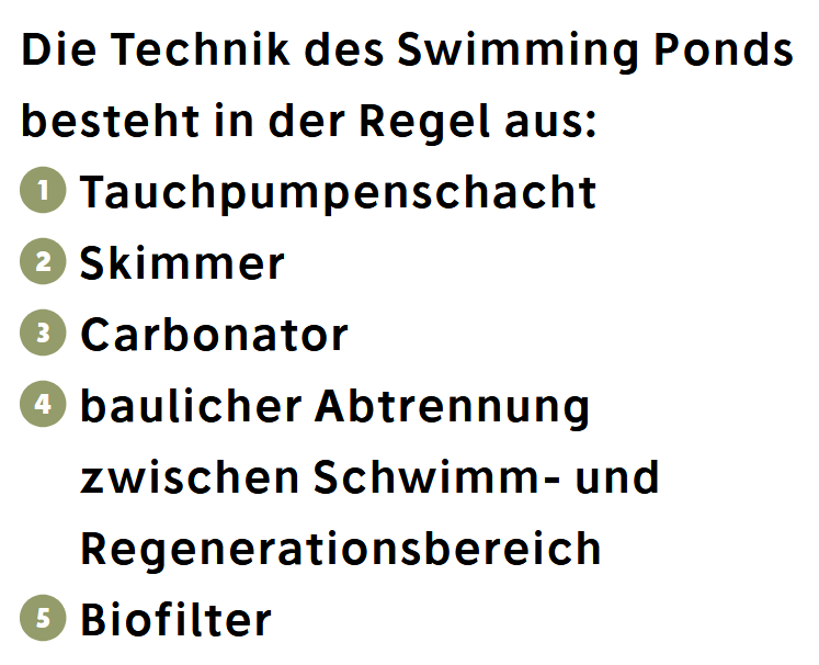Technik_Swimming Pond