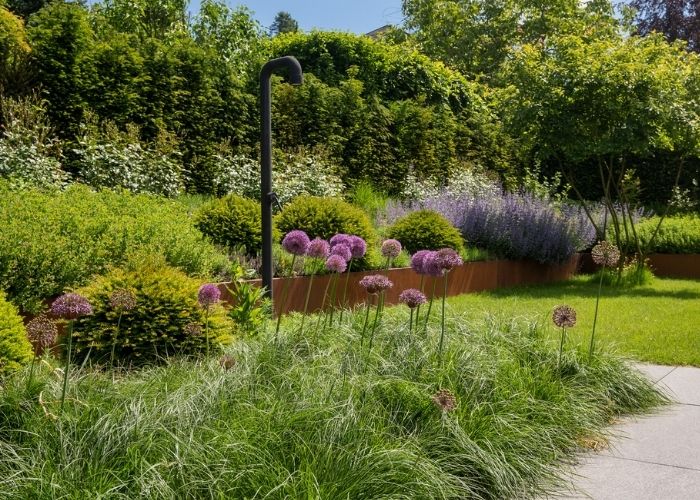 Ziergräser-Gärtner-von-Eden-Rhein-Main-Taunus-Schmahl Schöne Pflanzen aufeinander abgestimmt ergeben ein harmonisches Gesamtbild im Garten